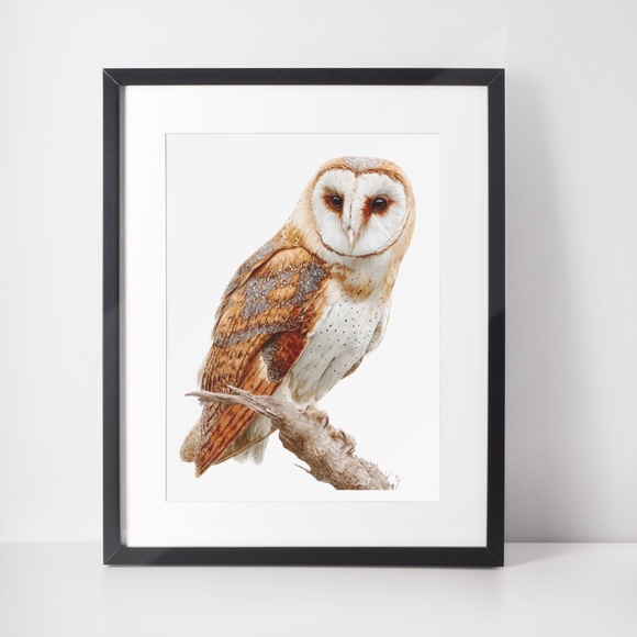 Watercolor Barn Owl Portrait Wall Art Print, Unframed - Mystical Woodland - Picture 3 of 6